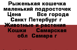 Рыженькая кошечка маленький подросточек › Цена ­ 10 - Все города, Санкт-Петербург г. Животные и растения » Кошки   . Самарская обл.,Самара г.